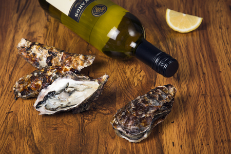 Close up of winter food ingredients Isolated on white background - salsify, oyster, mussel, shrimp and clamの写真素材