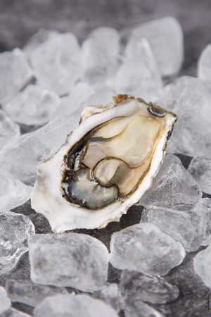Close up of winter food ingredients Isolated on white background - salsify, oyster, mussel, shrimp and clamの写真素材