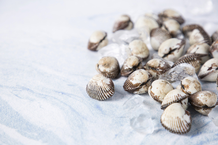 Close up of winter food ingredients Isolated on white background - salsify, oyster, mussel, shrimp and clamの写真素材