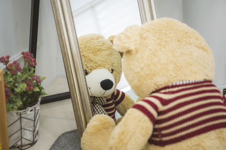 Teddy bear's daily routineの写真素材