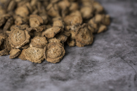 Close up of  food ingredients Isolated on   - salsify, oyster, mussel, shrimp and clamの写真素材