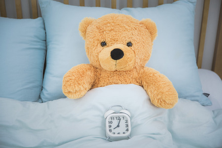 Teddy bear's daily routineの写真素材