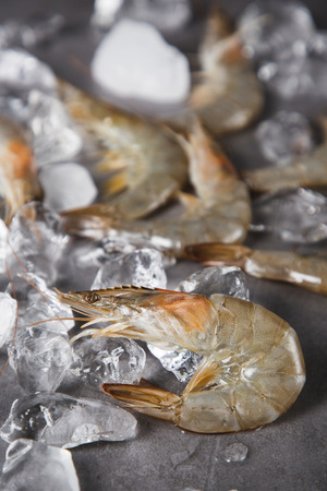 Close up of  food ingredients Isolated on   - salsify, oyster, mussel, shrimp and clamの写真素材
