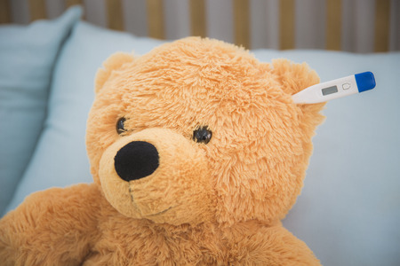 Teddy bear's daily routineの写真素材