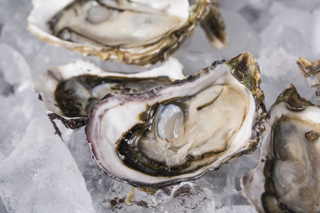 Close up of  food ingredients Isolated on   - salsify, oyster, mussel, shrimp and clam