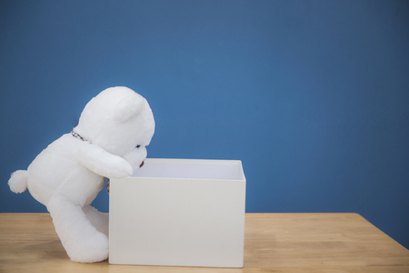 Teddy bear's daily routineの写真素材
