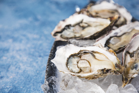 Close up of  food ingredients Isolated on   - salsify, oyster, mussel, shrimp and clamの写真素材