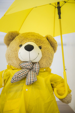 Teddy bear's daily routineの写真素材