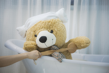 Teddy bear's daily routineの写真素材