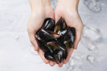 Close up of  food ingredients Isolated on   - salsify, oyster, mussel, shrimp and clamの写真素材