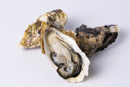 Close up of  food ingredients Isolated on   - salsify, oyster, mussel, shrimp and clamの写真素材