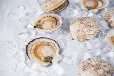 Close up of  food ingredients Isolated on   - salsify, oyster, mussel, shrimp and clam
