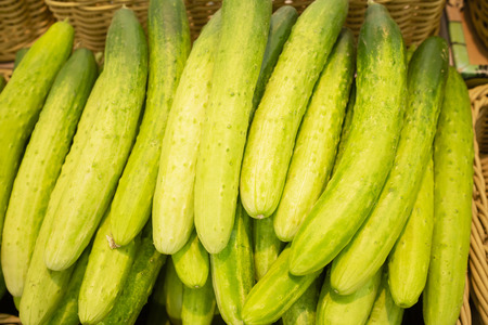Vegetables and fruits shopping cart at grocery store.の写真素材