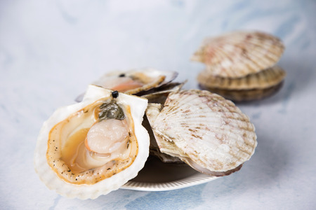 Close up of  food ingredients Isolated on   - salsify, oyster, mussel, shrimp and clam