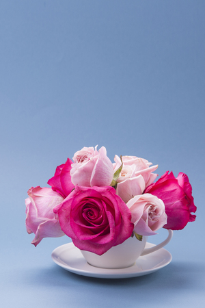 Close up of beautiful coloured flowersの写真素材