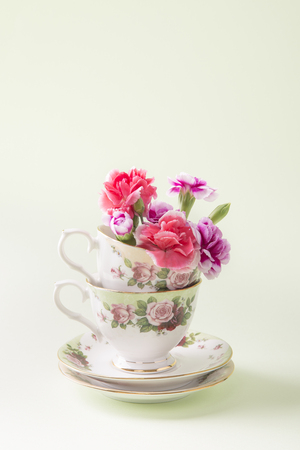 Close up of beautiful coloured flowersの写真素材