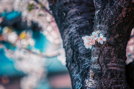 Beautifu natural sceneryの写真素材