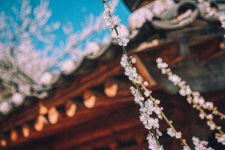 Beautifu natural sceneryの写真素材
