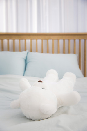 Teddy bear's daily routineの写真素材