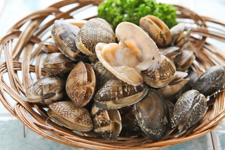 fresh manila clam in basketの写真素材