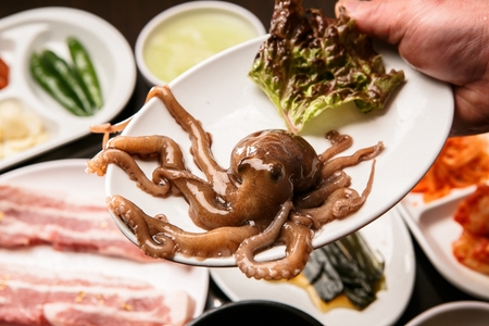 live small octopus on plateの写真素材