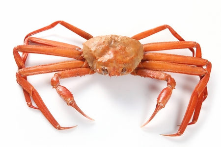 steamed king crab, white background