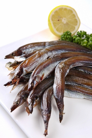 Guamaegi, dried saury on plate, white backgroundの写真素材