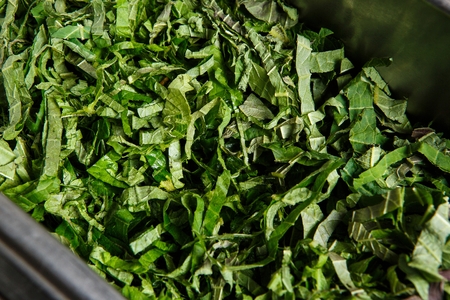 Sliced perilla leaves on stainless plate