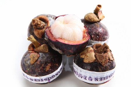 Mangosteen in white backgroundの写真素材