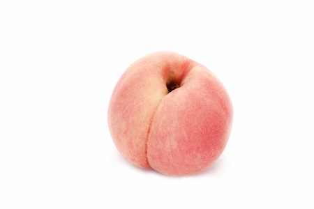 single peach, white backgroundの写真素材