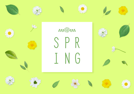 Spring background with flowers and leaves.の写真素材