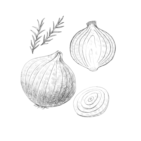 Hand drawn sketch vegetables illustrationの写真素材
