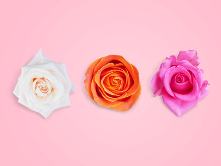 Beautiful fresh flowers, White, orange and pink roses.の写真素材