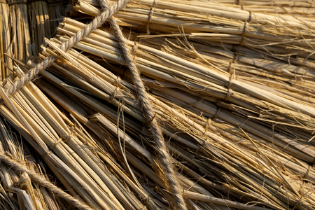 Various textures or materials that we see around us conceptの写真素材