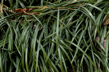 Various textures or materials that we see around us concept