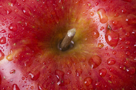 Healthy and weight loss concept, Red  whole and half pieceの写真素材