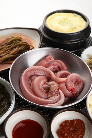 raw conger, sea eel on plate and side dishの写真素材