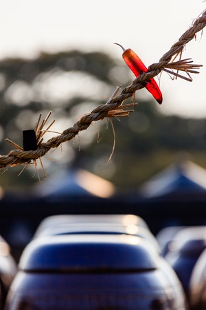 Korean intestines and jangdokdaeの写真素材