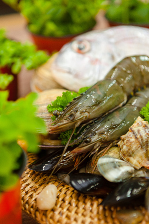 Delicious Seafood Cooking Materialの写真素材