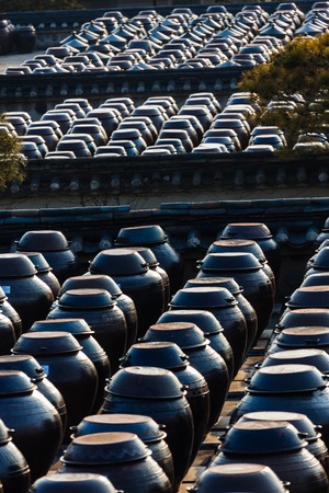 Korean intestines and jangdokdaeの写真素材