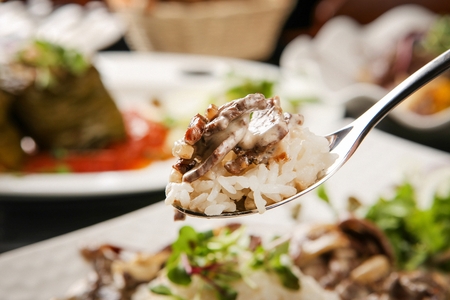 Spoon scooping up beef stroganoff with rice, on white plateの写真素材