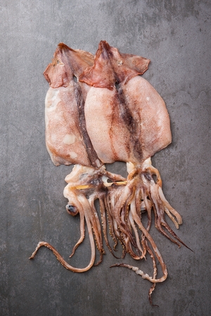 two dried squids on grey plateの写真素材