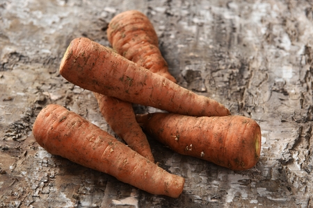 dirty carrot on rough surfaceの写真素材