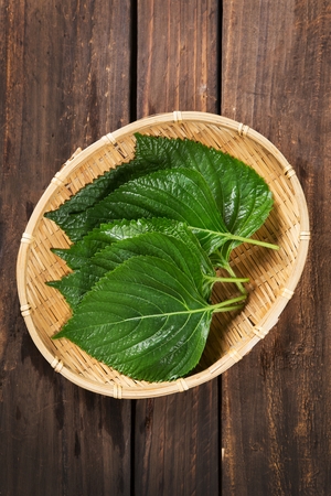perilla leaf in basketの写真素材