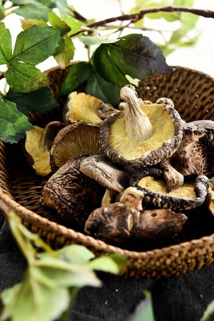 dried shiitake in basketの写真素材