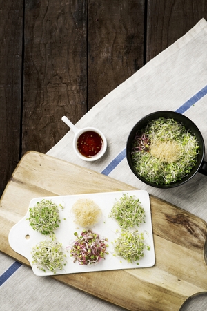 six kinds of sprouts on tableの写真素材