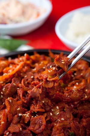 spicy marinated grilled porkの写真素材