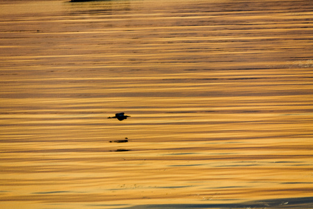 Cheongsan Island and Yellow Seaの写真素材