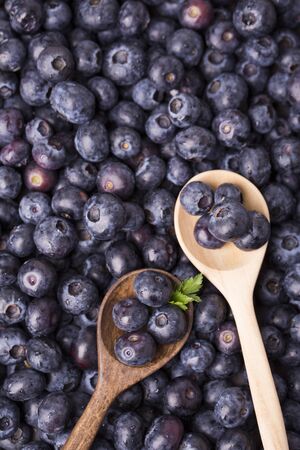 Assorted fresh berries, healthy lifestyleの写真素材