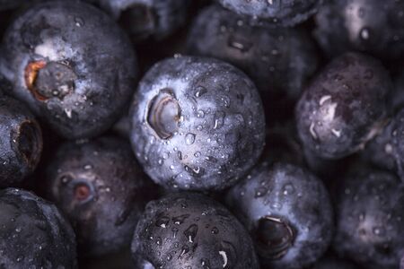 Assorted fresh berries, healthy lifestyleの写真素材